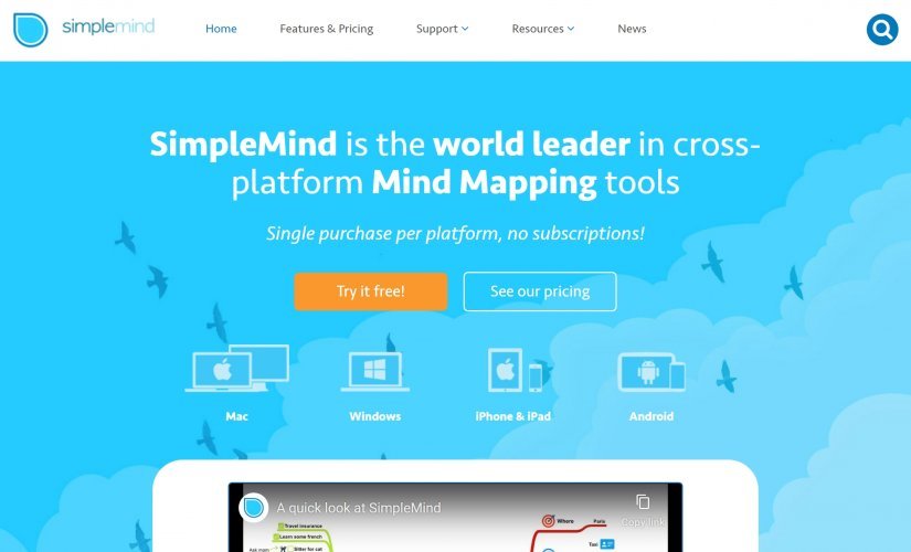 Simple Mind